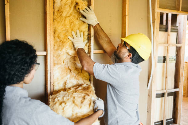 Best Affordable Insulation Services  in Lebanon, IN