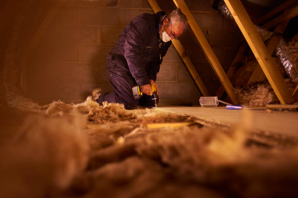 Best Insulation Removal Services  in Lebanon, IN